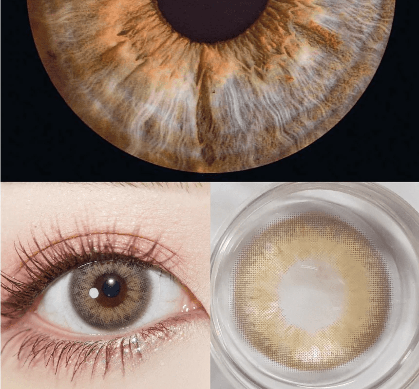 Coleyes DNA Taylor Ⅱ Braune farbige Kontaktlinsen mit Sehstärke für das Jahr - image 5