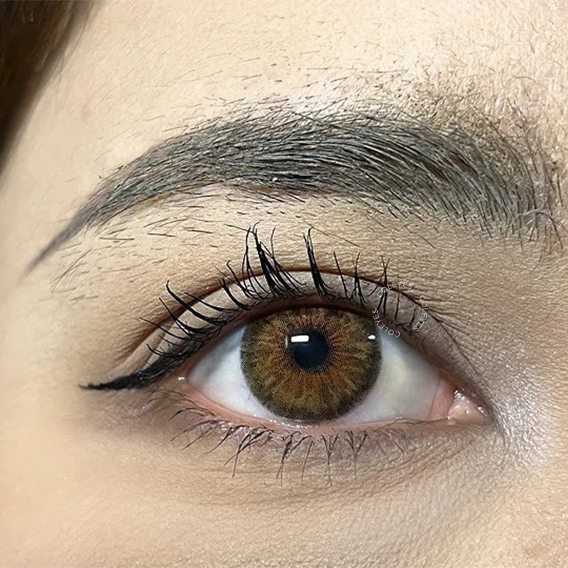 Coleyes Muse Brown Jahres-Farbkontaktlinsen - image 5