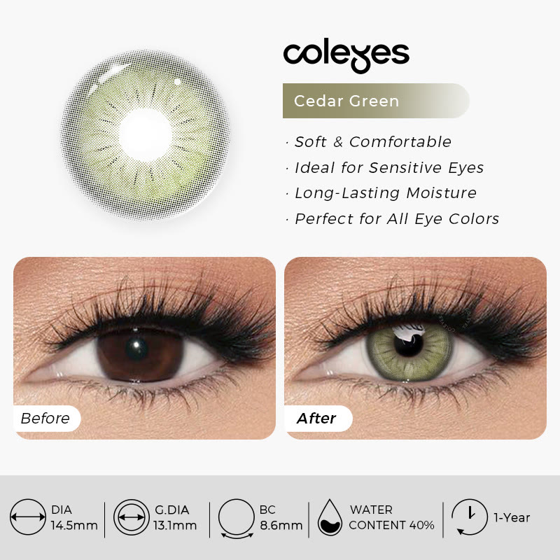 Coleyes Cedar Green Jahresfarbkontaktlinsen - image 8