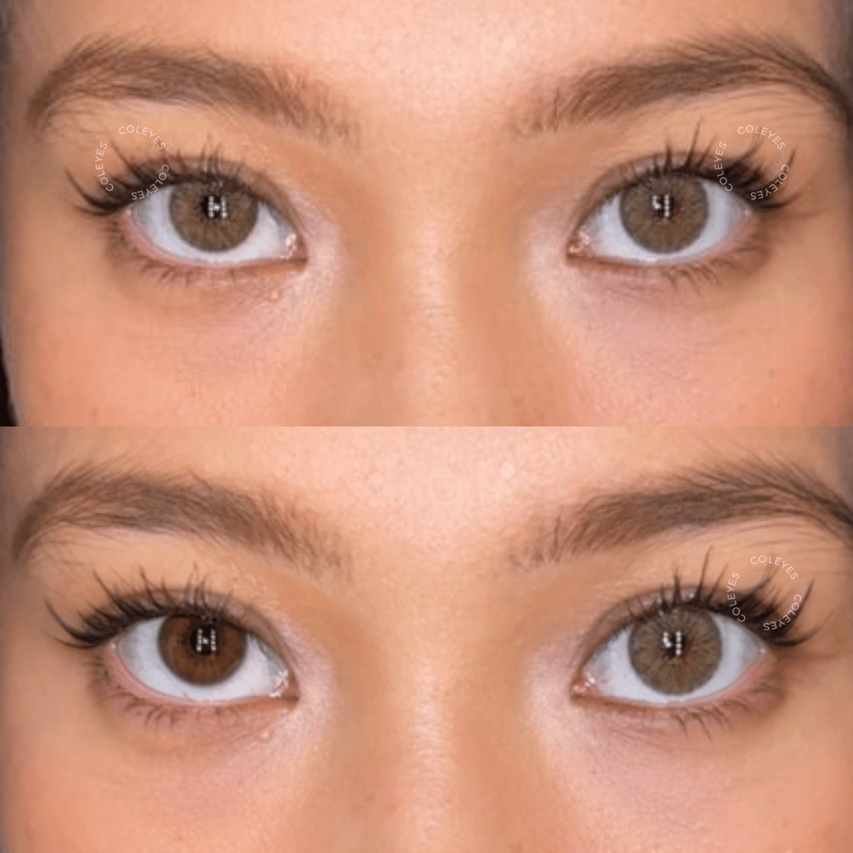 Coleyes Dawn Brown Monatslinsen mit kleiner Pupille - image 4