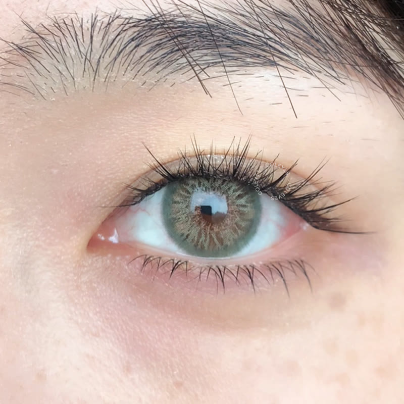 Coleyes Dawn Olive Jahres-Farblinsen - image 5