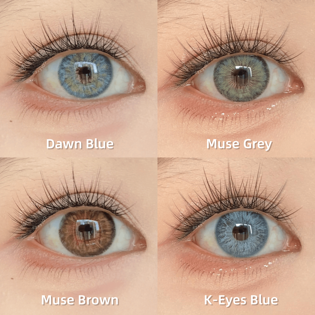 Coleyes Monatslinsen mit kleinem Pupillendesign | 4-Farben-Set - image 2