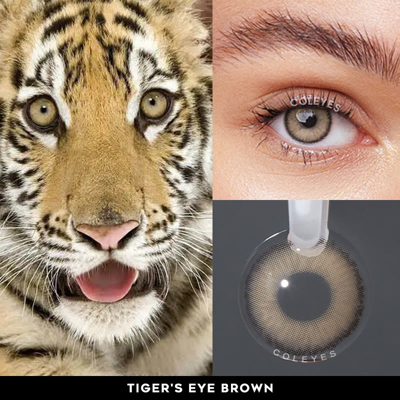 Coleyes Tigerauge Braune farbige Jahreskontaktlinsen mit Sehstärke - image 6