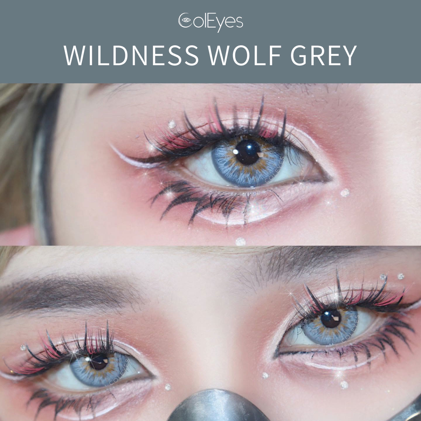 Coleyes Wildness Wolf Grey Jahresfarbkontaktlinsen - image 6