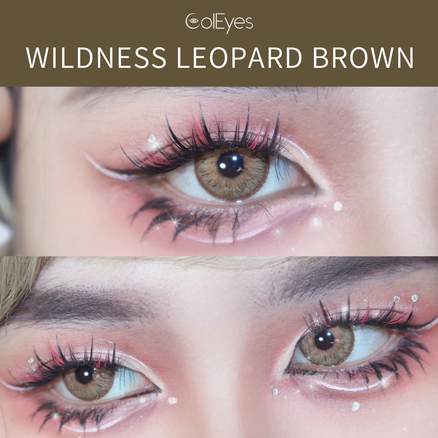 Coleyes Wildness Leopard Brown Jahreskontaktlinsen - image 5