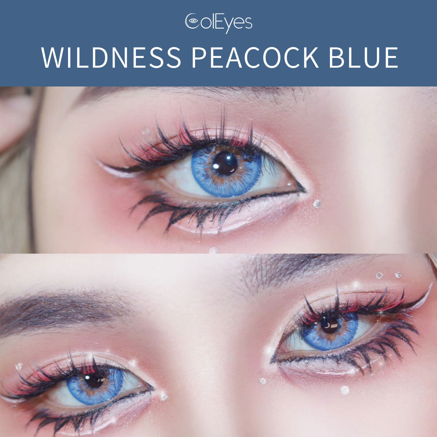 Coleyes Wildness Peacock Blue Jahreskontaktlinsen - image 5