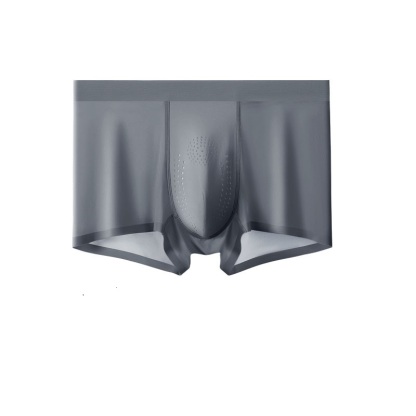 🌿Forest Oxygen Ice Silk Men’s Underwear