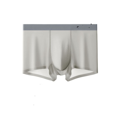 🌿Forest Oxygen Ice Silk Men’s Underwear