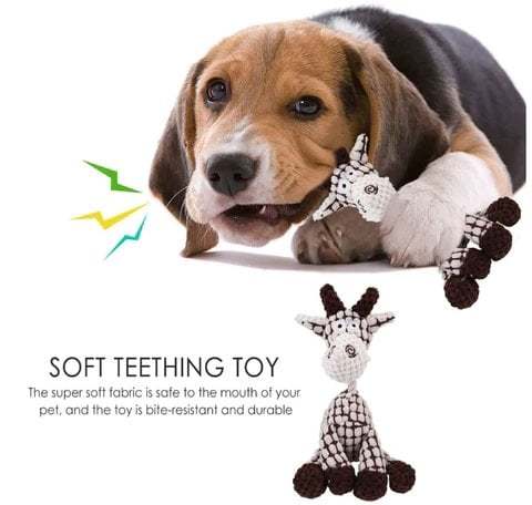 Pet Soft Toy
