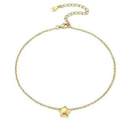 Dainty Star Dainty Beach Anklets