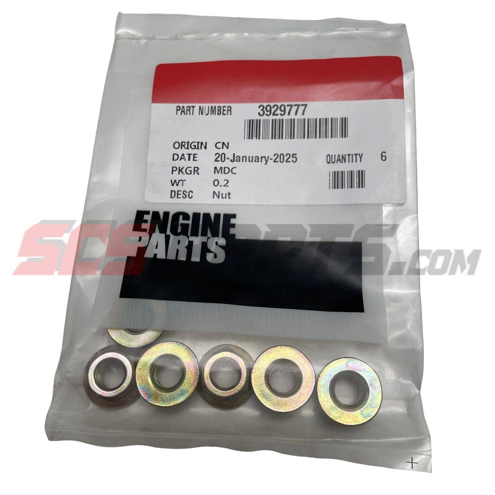 3929777 Hexagon Flange Nut
