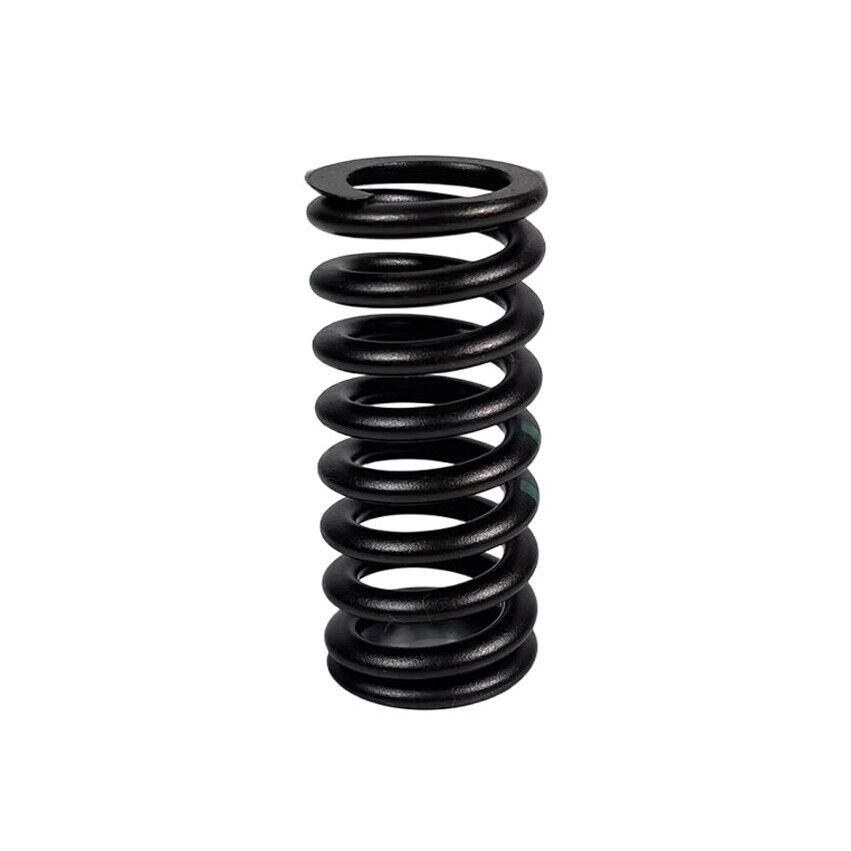 4960050 Valve Spring