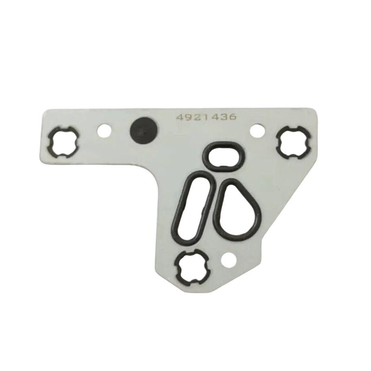 4921436 Fuel Pump Gasket