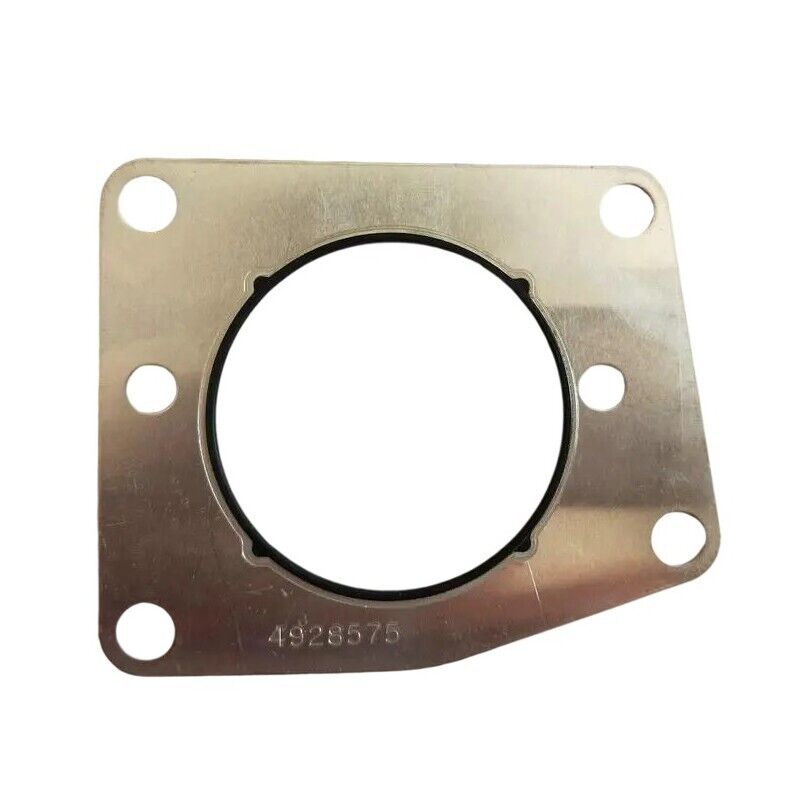 4928575 Fuel Pump Gasket