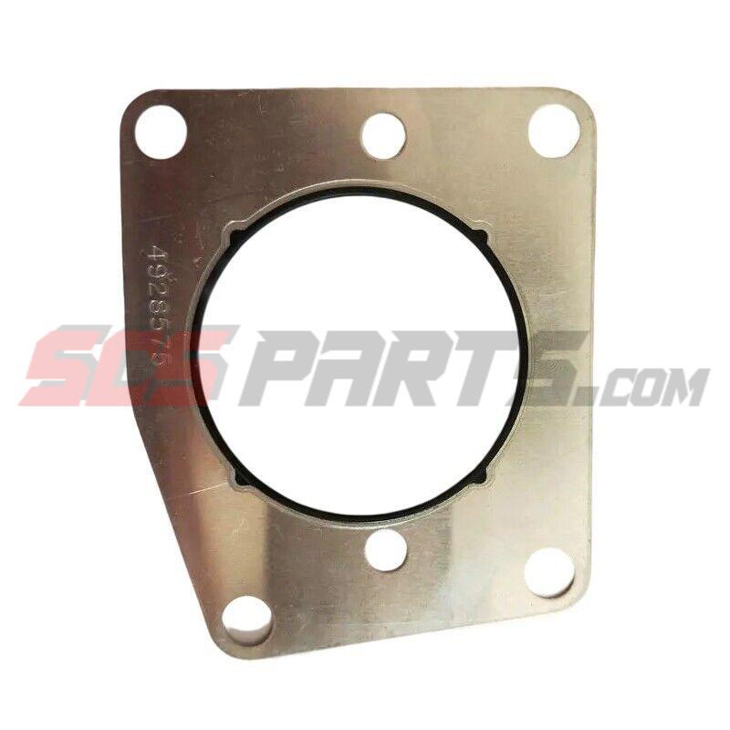 4928575 Fuel Pump Gasket