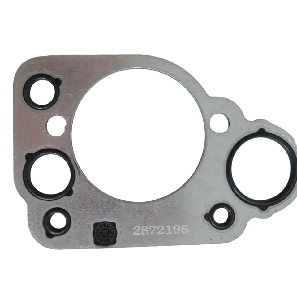 2872195 Support Gasket