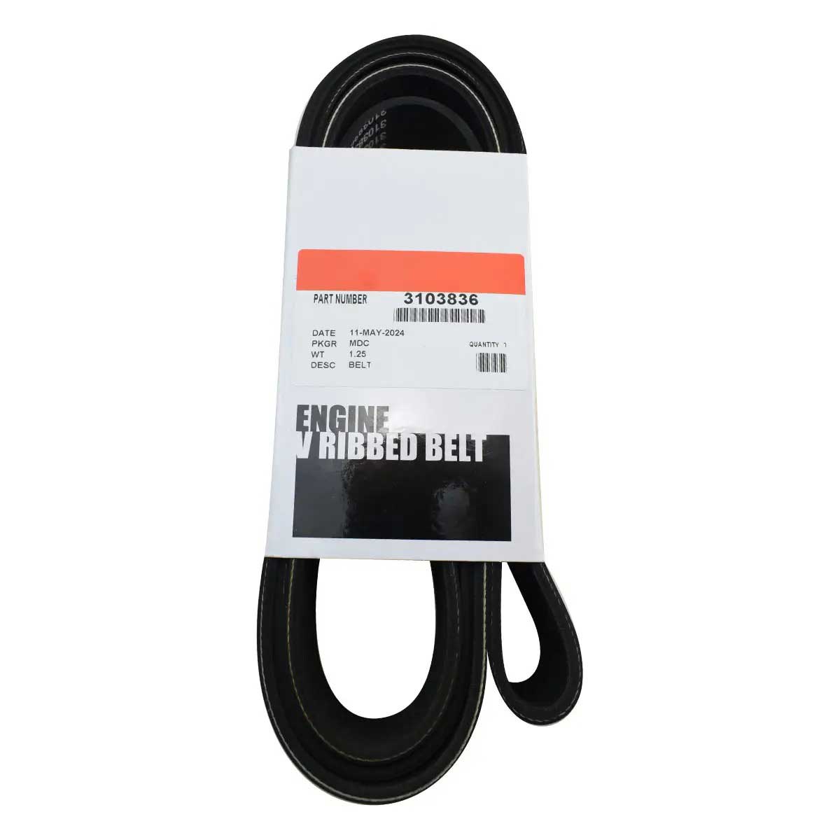 Cummins 3103836 V Ribbed Belt