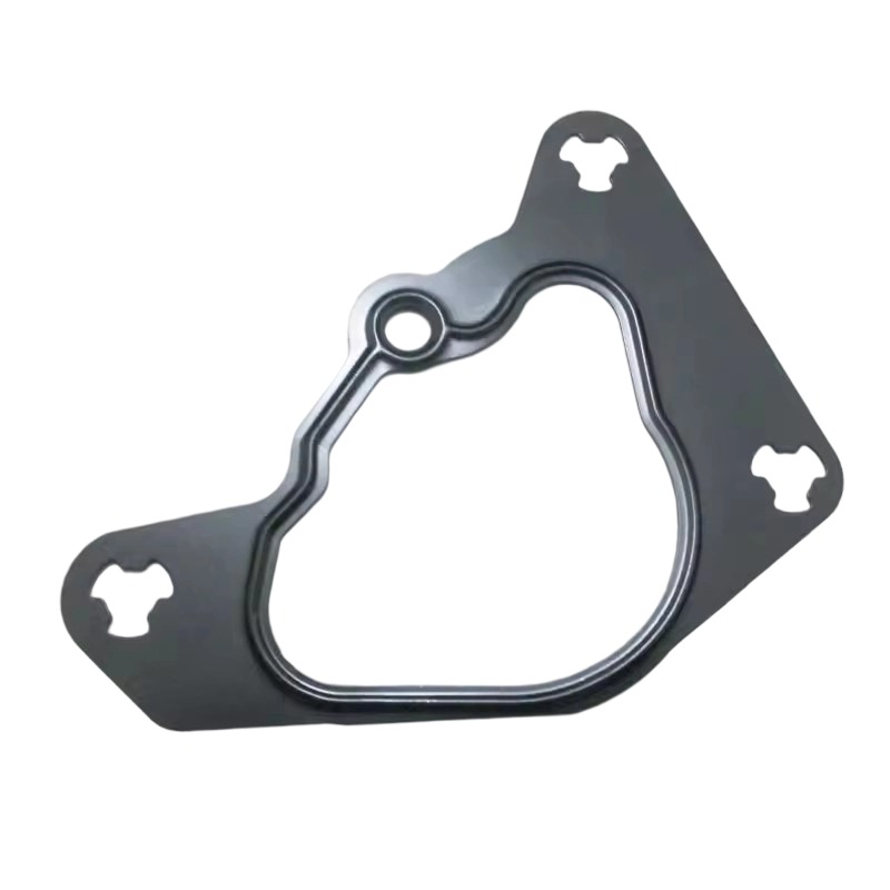 5264426 Vacuum Pump Gasket