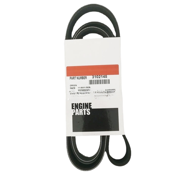 3102145 V Ribbed Belt