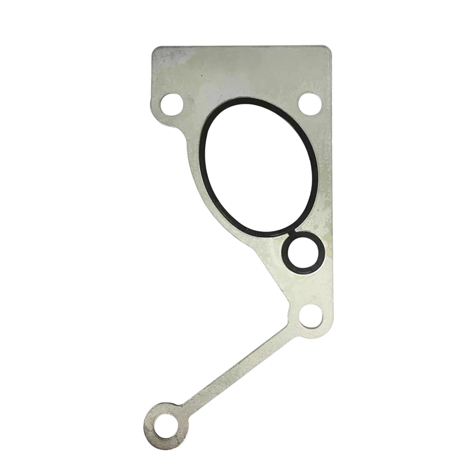 3680574 Connection Gasket