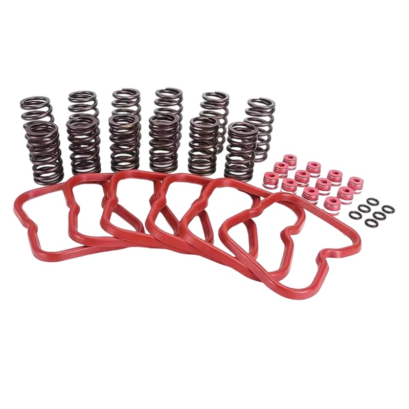 3916691 3902666 3921640 3910824 Valve Springs Gaskets Kit