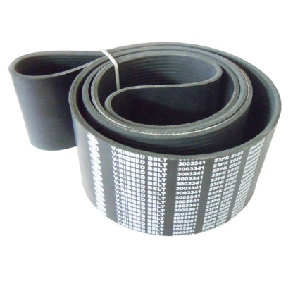 Cummins 3003341 V Ribbed Belt