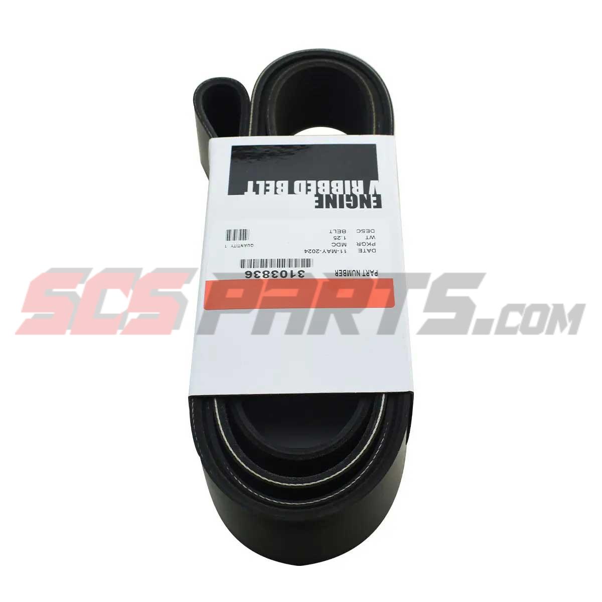 Cummins 3103836 V Ribbed Belt