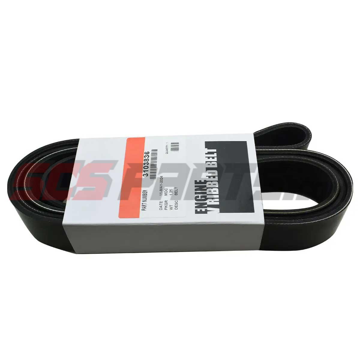 Cummins 3103836 V Ribbed Belt