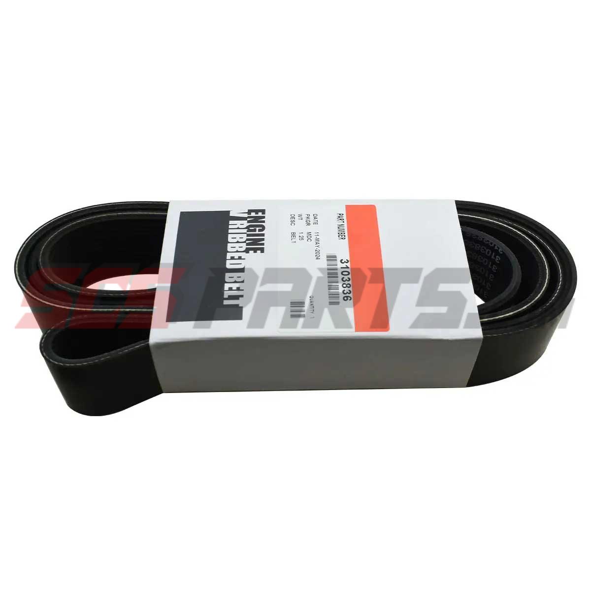 3103836 V Ribbed Belt