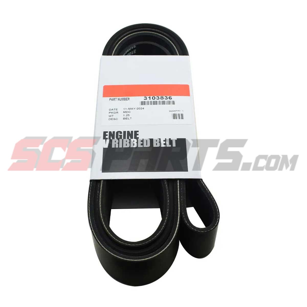 Cummins 3103836 V Ribbed Belt