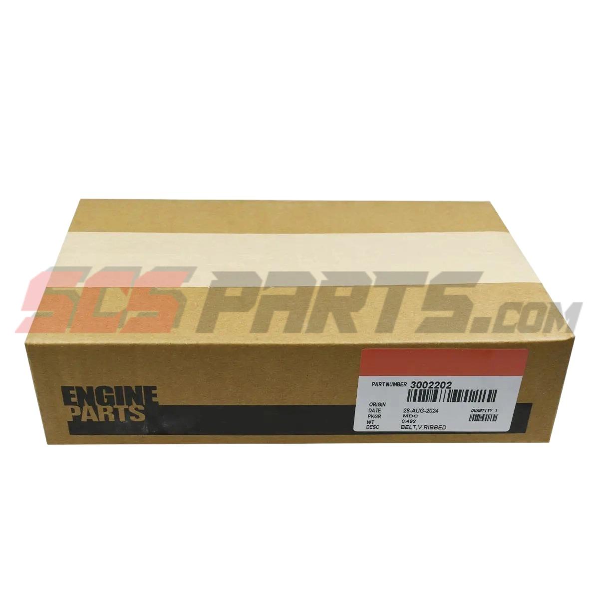 3002202 V Ribbed Belt