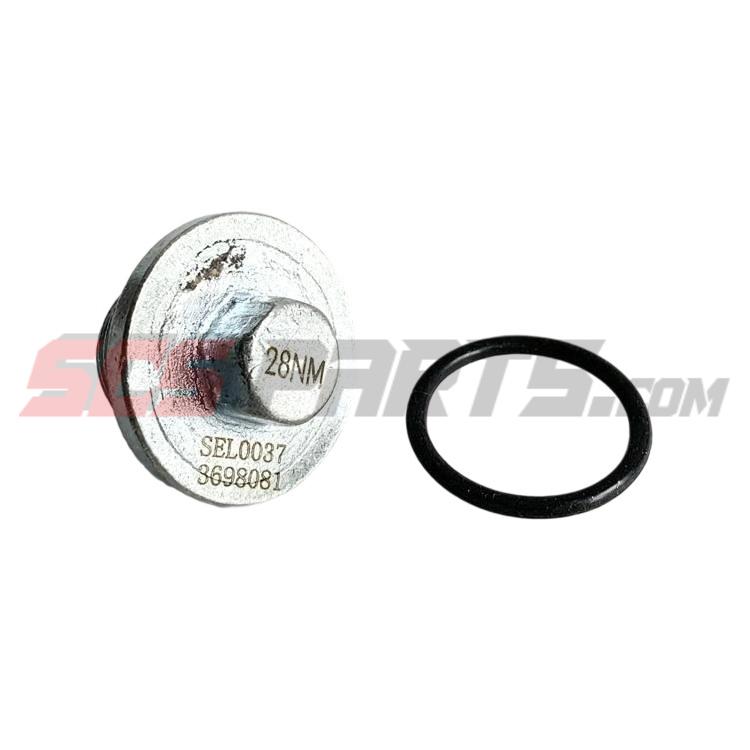 3698081 Threaded Plug