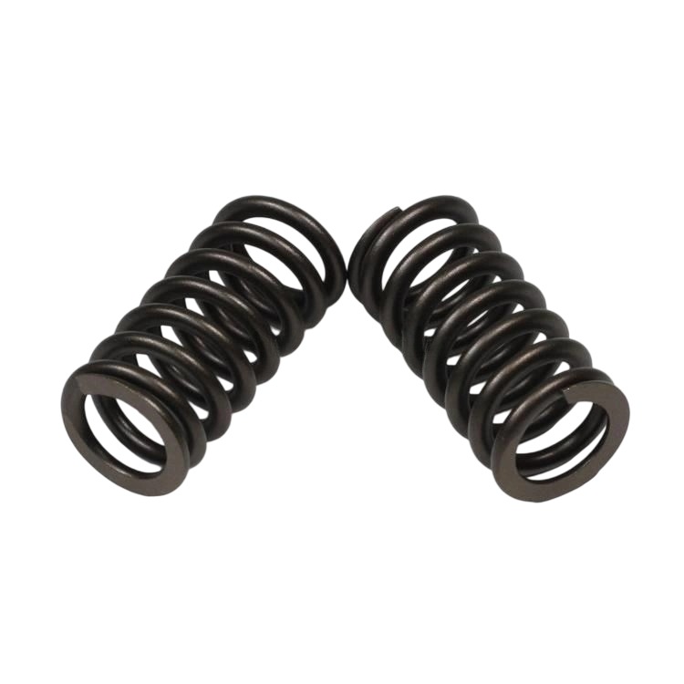 3696142 Valve Spring