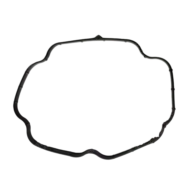 4960139 Cover Plate Gasket 