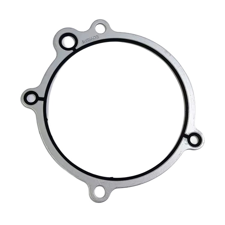 4965690 Accessory Drive Support Gasket 