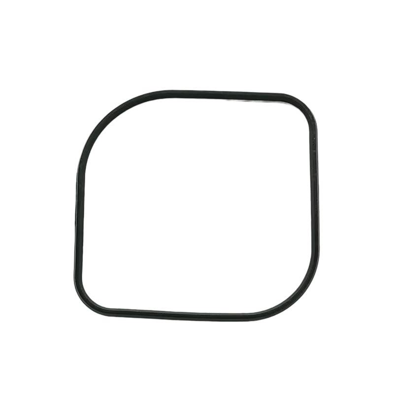 3679931 Camshaft Cover Gasket 