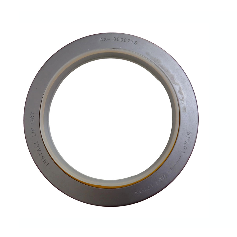 3020183 Oil Seal 