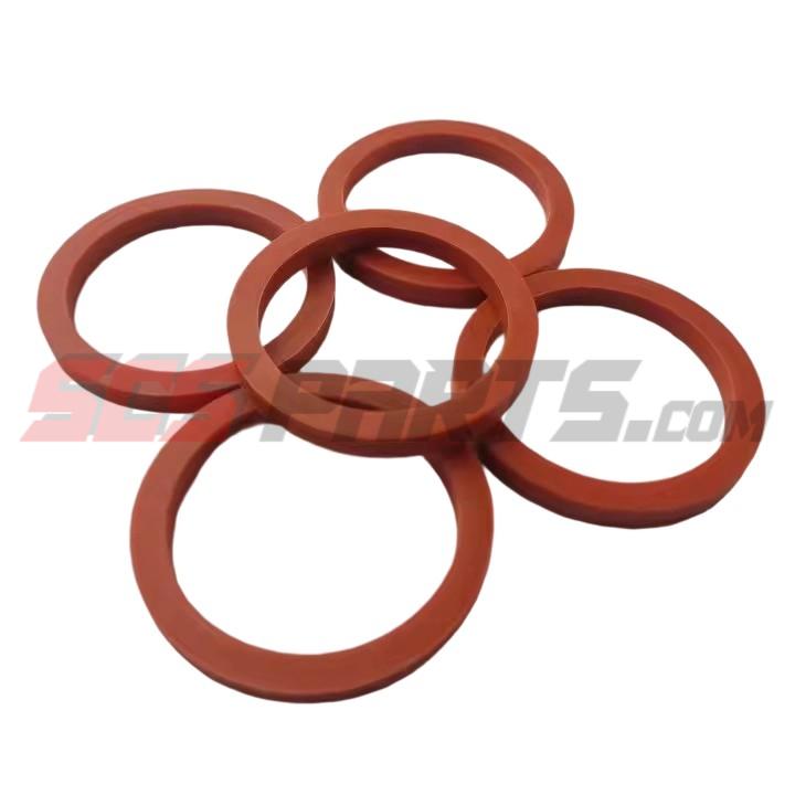 207135 Rectangular Ring Seal 