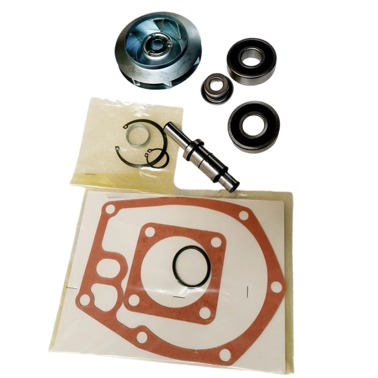 Kit de reparación de bomba de agua 3803614