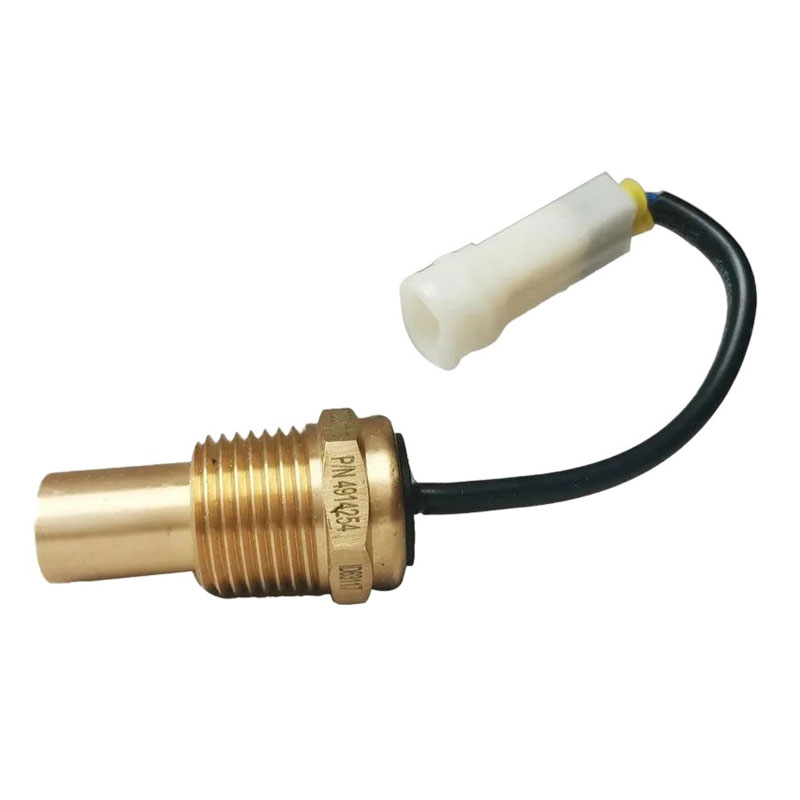 4914254 Temperature Switch 