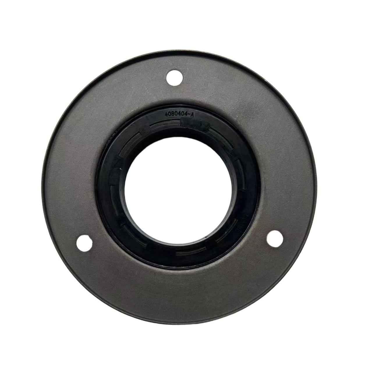 4080404 Oil Seal 