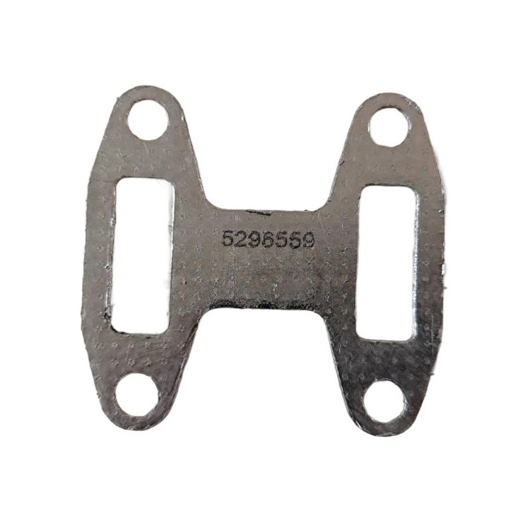 5296559 Connection Gasket