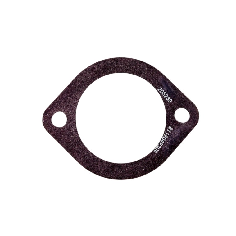 Cummins 205289 Water Transfer Connection Gasket