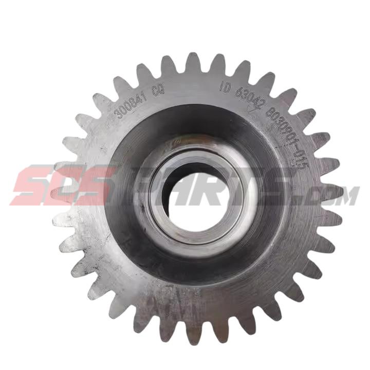 3008841 Sea Water Pump Gear