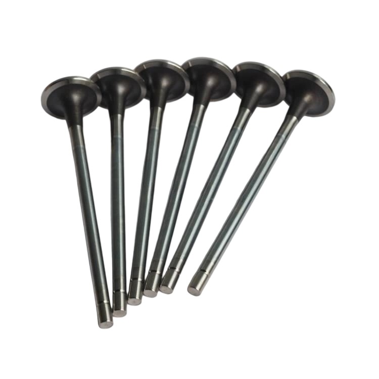 4365850 Intake Valve