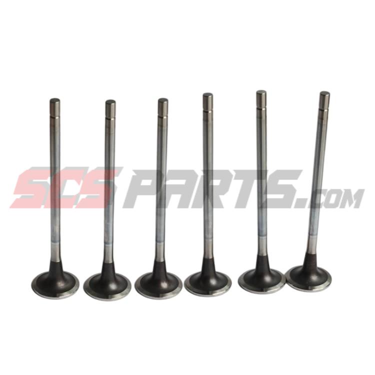 4365850 Intake Valve