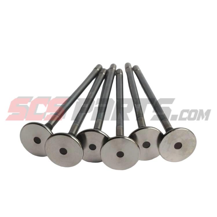 4365850 Intake Valve