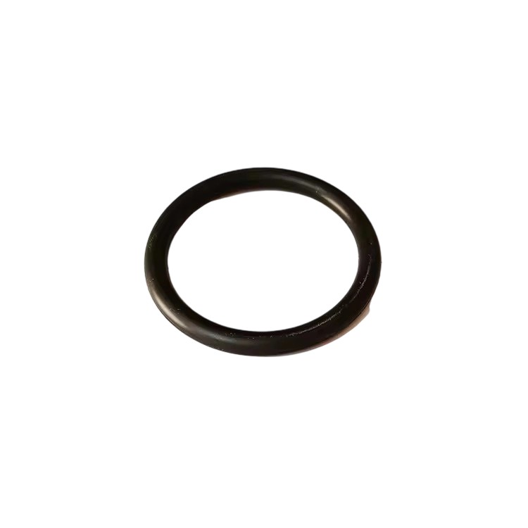3678756 O Ring Seal