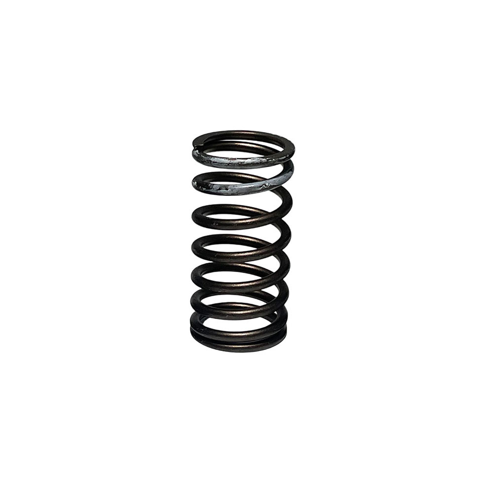 3092508 Valve Spring 