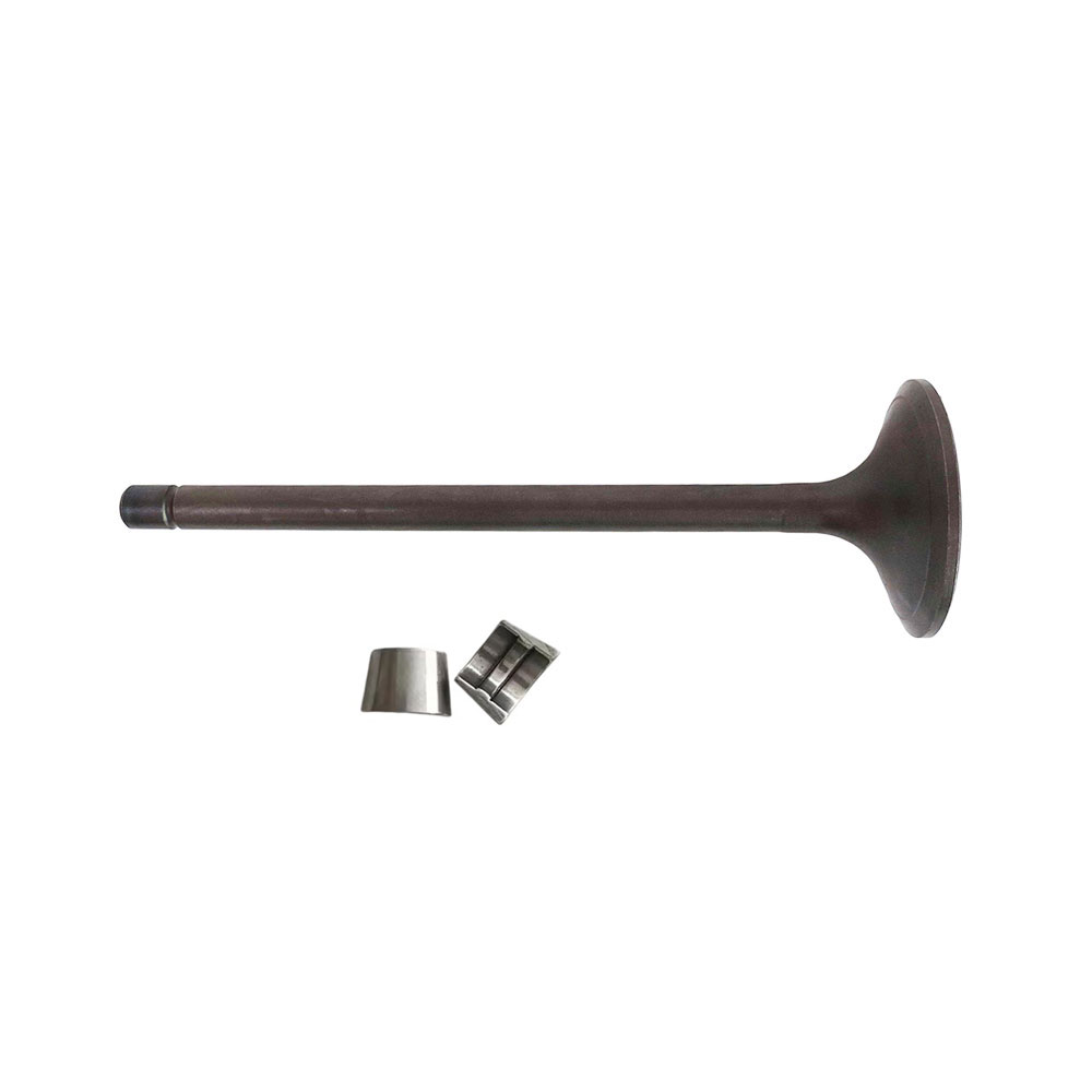 Kit de válvula de admisión 3804866